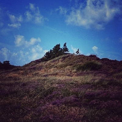 Lüll Hüll 🏔️🚴‍♂️'s avatar