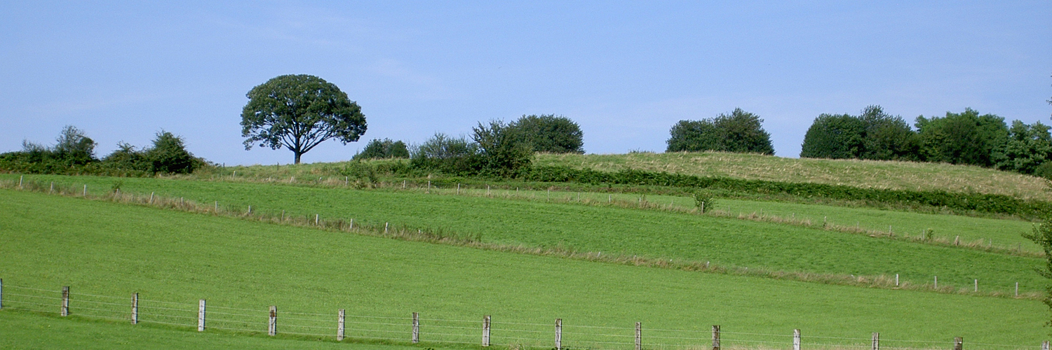 Header Image