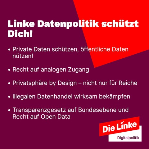 Sharepic der Linken zur Bundestagswahl 2025: Linke Datenpolitik: Private Daten schützen, öffentliche Daten nützen, Recht auf analogen Zugang