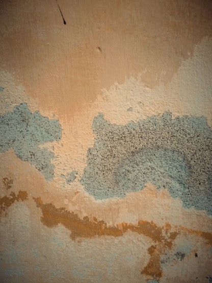 Zoom sur un bout de mur orangé sur lequel s'étendent des taches grises ou orange vif. L'ensemble fait penser à une carte muette.