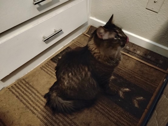 Goobie licking her lips.