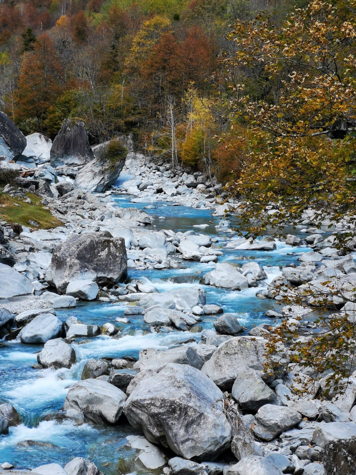 Das Bild zeigt eine malerische Berglandschaft mit einem klaren, blauen Fluss, der durch eine Felslandschaft fließt. Der Fluss ist von großen, grauen Steinen gesäumt, die in verschiedenen Größen und Formen verteilt sind. Die Wasseroberfläche ist leicht gewellt, was auf eine leichte Strömung hinweist. Auf der rechten Seite des Bildes sind Bäume mit herbstlichen Blättern zu sehen, die in verschiedenen Farben wie Orange, Gelb und Braun leuchten. Im Hintergrund erstreckt sich ein Wald mit dichten Bäumen, die ebenfalls in den Herbstfarben leuchten. Die gesamte Szene vermittelt ein Gefühl von Ruhe und natürlicher Schönheit.