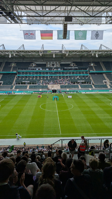 Blick auf den Rasen mit den Mannschaften kurz vor Anpfiff. 