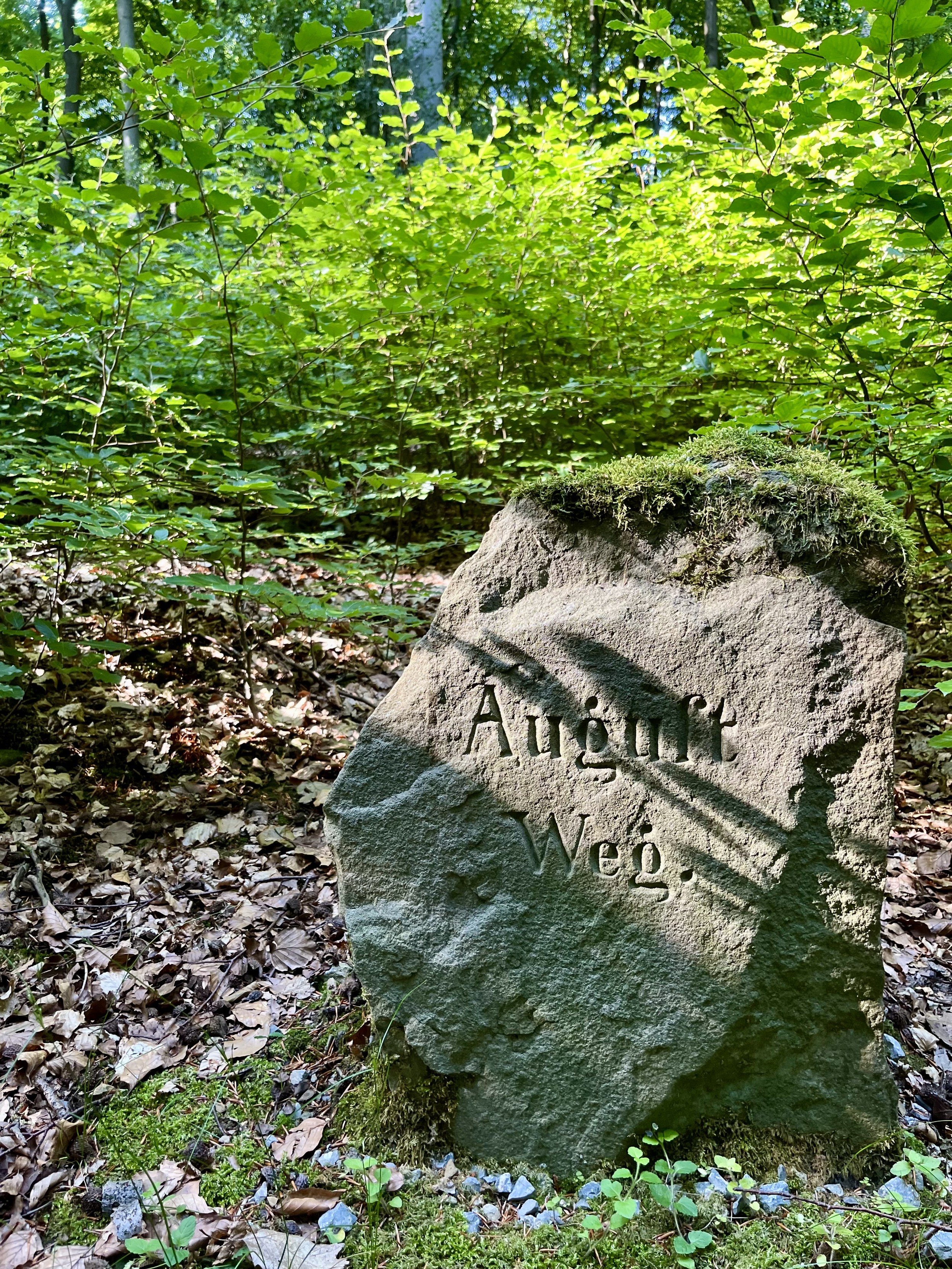 Das Bild zeigt eine große, runde Felsplatte, die in einem Waldgebiet steht. Die Felsplatte ist mit Moos bedeckt und hat die Inschrift "August Weg." in tiefen Buchstaben. Der Hintergrund besteht aus dichtem Grün, mit vielen Blättern und Zweigen, die das Licht durchlassen. Der Boden ist mit trockenen Blättern bedeckt, und es gibt einige kleine Pflanzen und Steine um die Felsplatte herum. Die Inschrift auf der Felsplatte deutet darauf hin, dass sie möglicherweise eine Gedenkstätte oder einen Wegweiser ist.