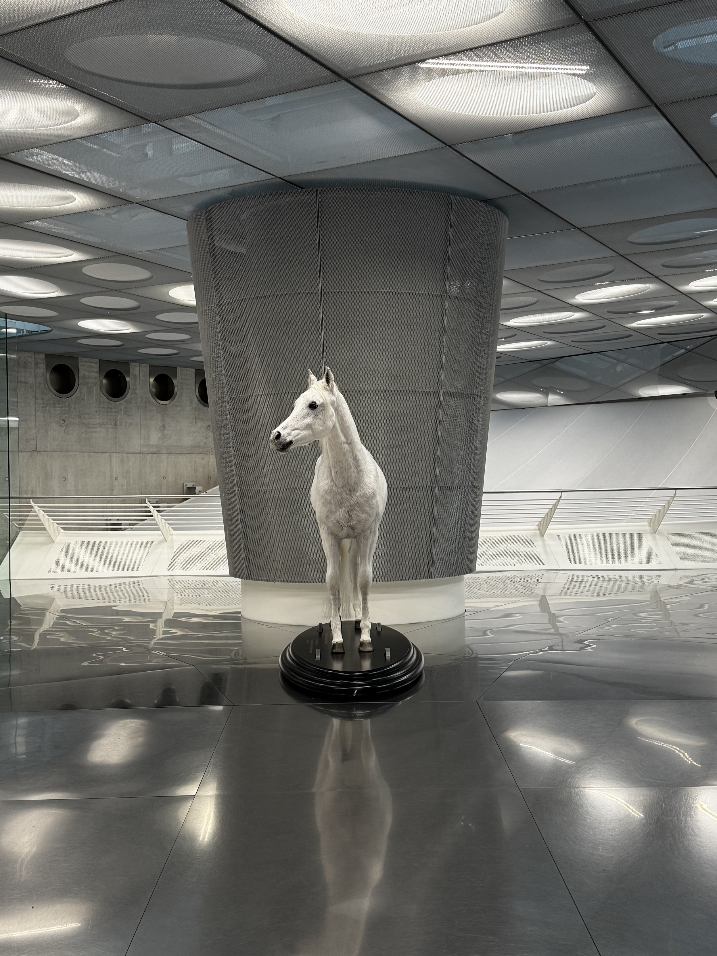 Eine weiße Pferdeskulptur steht auf einem schwarzen Sockel in einem modernen Innenraum mit Metallböden und einem unverwechselbaren Deckendesign mit kreisförmigen Lichtern.
