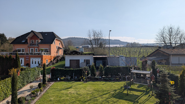 Viel Grün. Weinstöcke sind zu erkennen. Rechts stehen Schuppen, links ein zweistöckiges Wohnhaus mit rötlicher Fassade. 