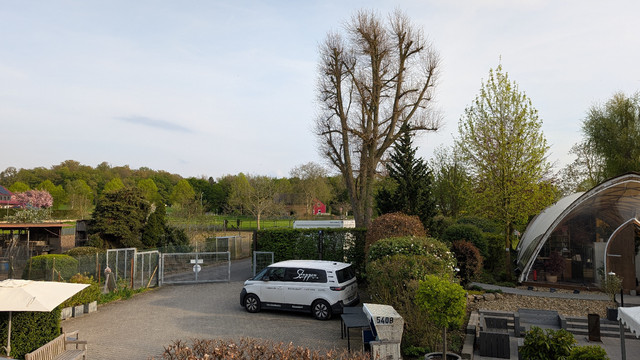 Viel Grün mit einem noch nicht grünen Baum mittig, davor ein weißer Lieferwagen.
Rechts ist ein Teil des Event-Zeltes des Restaurants zu erkennen. 
Im Hintergrund der Liedberg. 