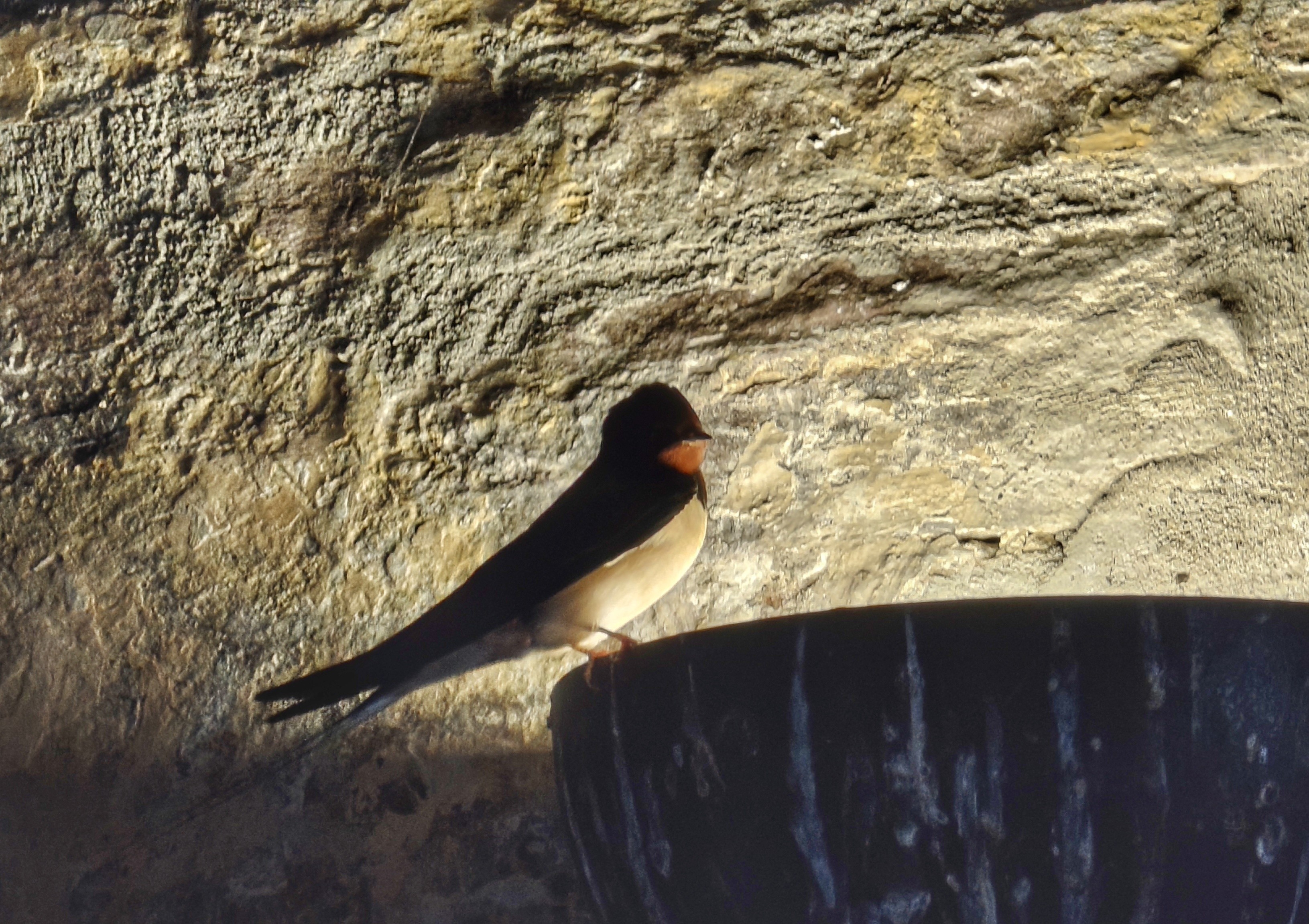 Posted media