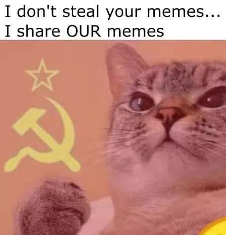Socialist cat says:

I don't steal your memes...
I share OUR memes