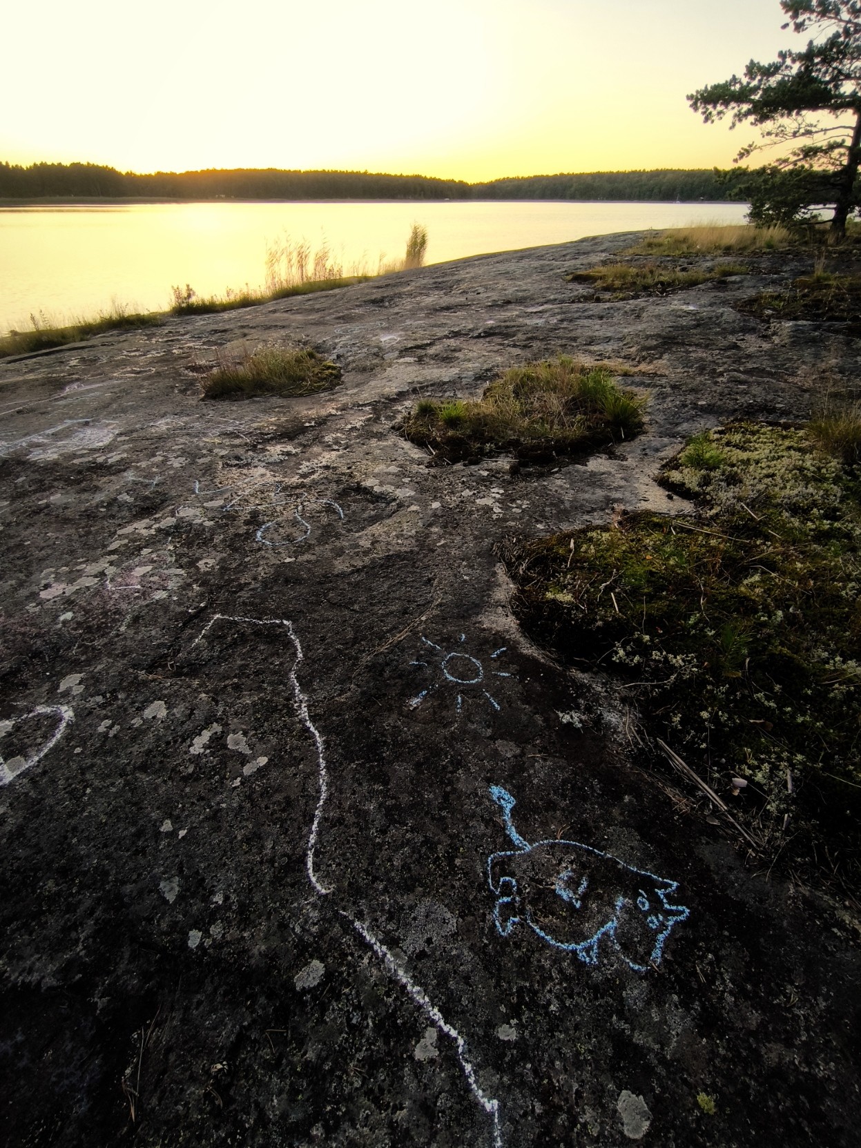 A landscape photograph shows a rocky shoreline overlooking a calm body of water under a bright, low sun. In the foreground, dark-colored rocks feature white chalk drawings of a sun, an animal outline, and some long lines. Small patches of green moss and tufts of grass grow from crevices in the textured rock surface. The background features a wide expanse of water reflecting yellow light from a sun positioned near the horizon behind a distant treeline. A single pine tree is partially visible on the far right edge of the frame.