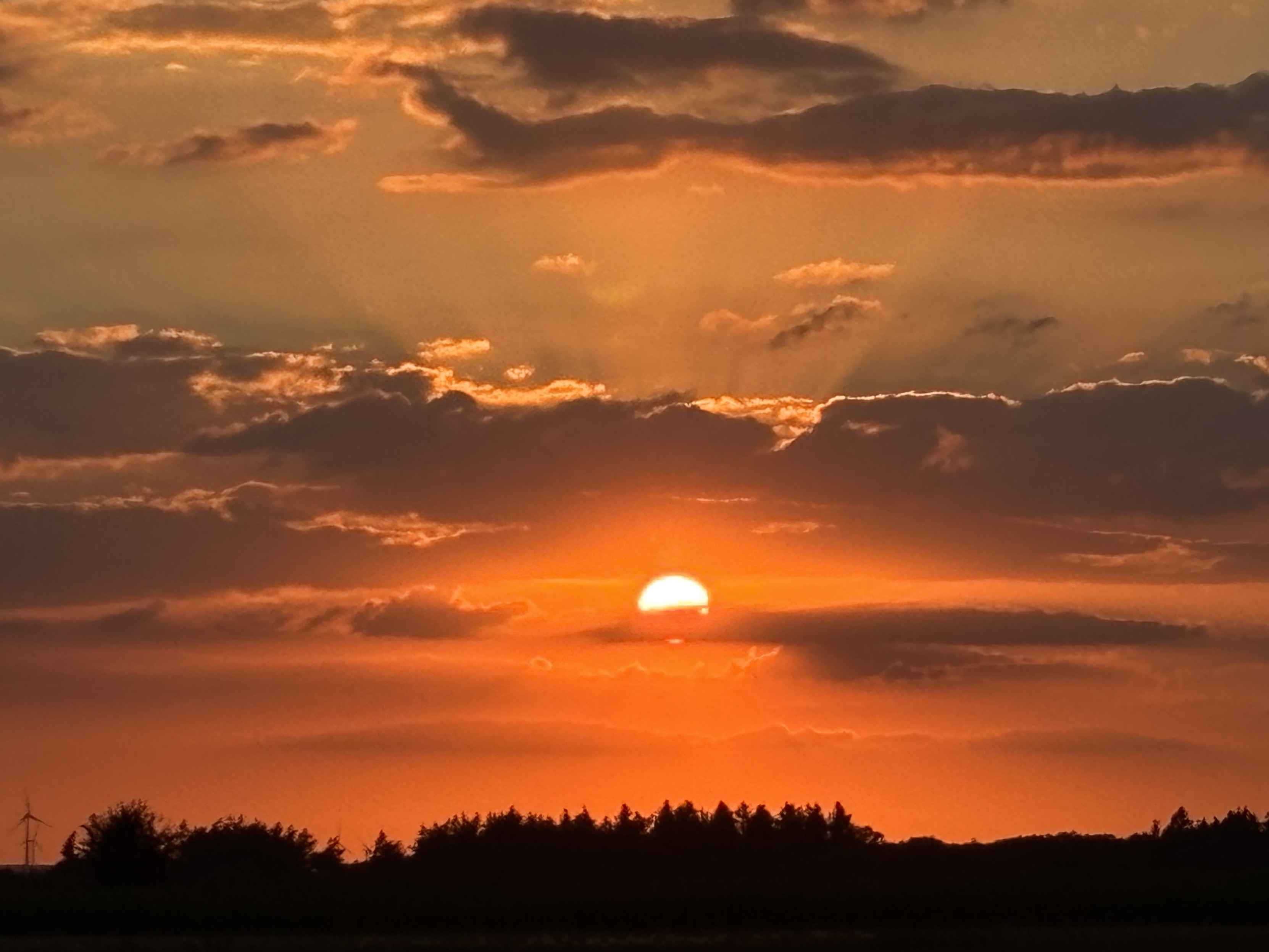 Am unteren Bildrand ist mittig die Silhouette einer Baumreihe zu sehen. Darüber, bis zum oberen Bildrand, zeigt sich der intensiv rot orange gefärbte Himmel, der leicht mit grauen langgezogenen Wolken bedeckt ist. Mittig über der Baumreihe scheint die Sonne als glühender ins rot gehender Ball und färbt den Himmel orange intensiv etwas rot. Nach oben sind Strahlen sichtbar.