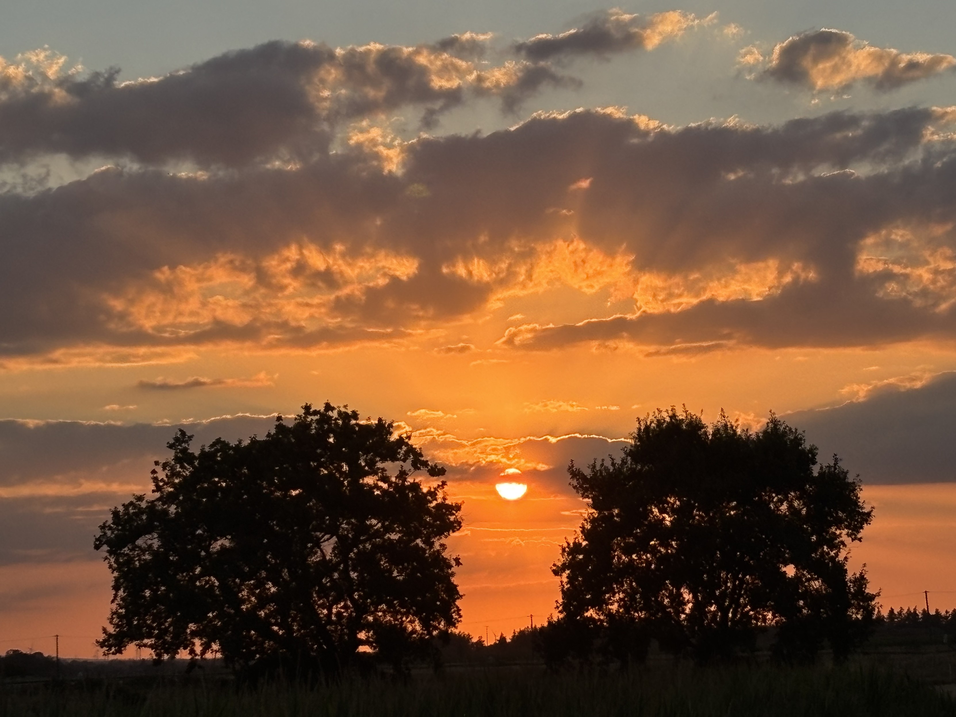 Am unteren Bildrand im Vordergrund sind Gräser zu sehen. Am Horizont zwei Bäume, die zwischen sich Platz lassen und darin geht die Sonne als glühender Ball, der oranges Licht über den Himmel verteilt, unter. Der Himmel im Hintergrund ist mittig etwas oberhalb mit einer flauschigen großen grauen Wolke bewölkt. Einige kleinere graue Wolken ziehen darüber vor dem Nachthimmel.