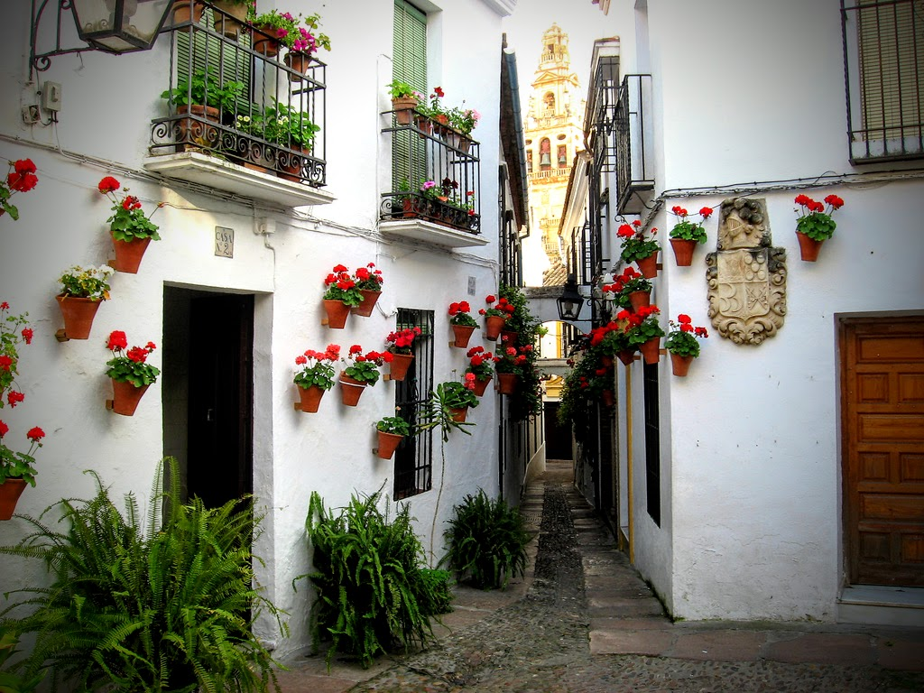 Enge, kopfsteingepflasterte Gasse mit weiß getünchten Häusern. Zahlreiche rote Geranien in Terrakottatöpfen schmücken Wände und schmiedeeiserne Balkone. Im Hintergrund ragt der reich verzierte Glockenturm einer Kirche zwischen den Häusern hervor. Auf der rechten Hauswand befindet sich ein großes steinernes Wappenrelief. Im Vordergrund stehen üppige grüne Farne.