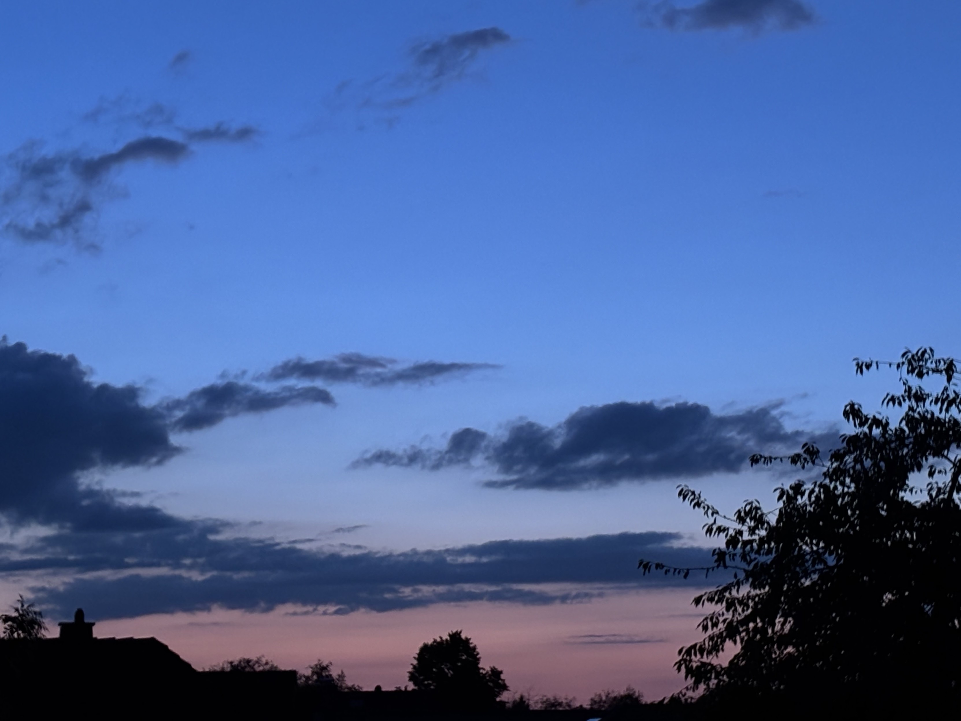 Am rechten Bildrand ragen Blätter einer Baumkrone als Silhouette ins Bild. Am unteren Bildrand mittig ist die Silhouette einer weiteren Baumkrone und etwas links der Ansatz eines Daches zu sehen. Im Hintergrund der wenig gestreifte graubewölkte ansonsten blau leuchtende Himmel. Im unteren Teil ist der Himmel zart rosa angehaucht. Die Sonne selbst ist nicht mehr zu sehen.
