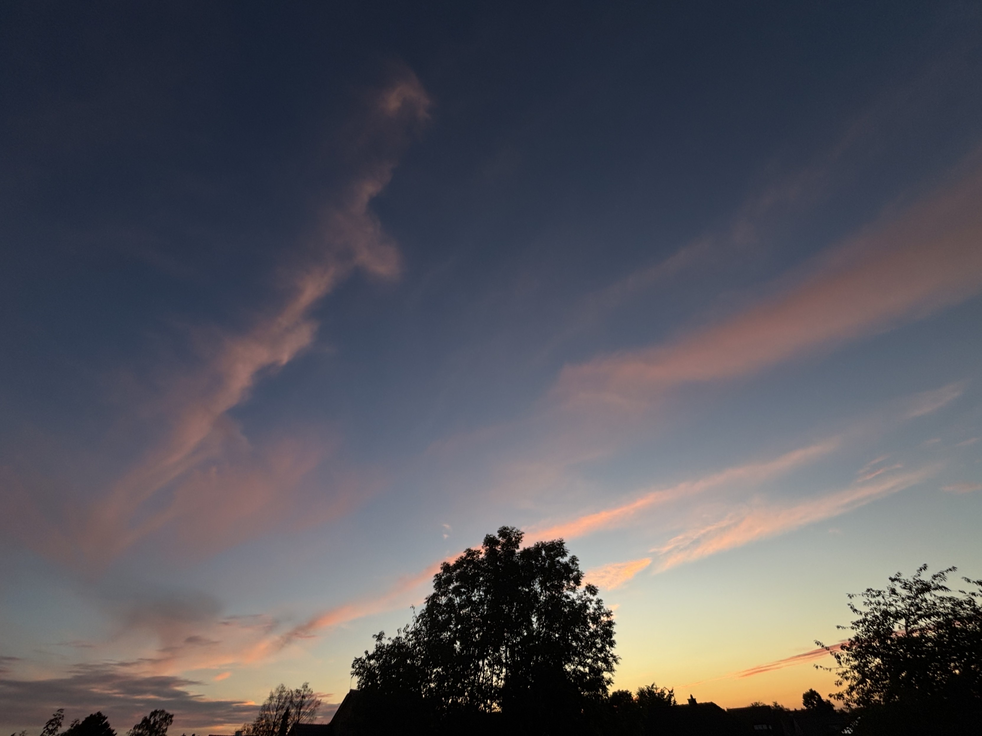 Am unteren Bildrand zeigen sich mittig und rechts die Silhouetten großer Bäume. Dahinter zeigt sich der überwiegend schleirig leicht mit zarten rosa leuchtenden Wolken bewölkte Himmel. Rechts unten zwischen den Bäumen, leuchtet das letzte Licht der Sonne gelb und sendet Strahlen unter die Wolken. Der Himmel wird im Blau nach oben dunkler.