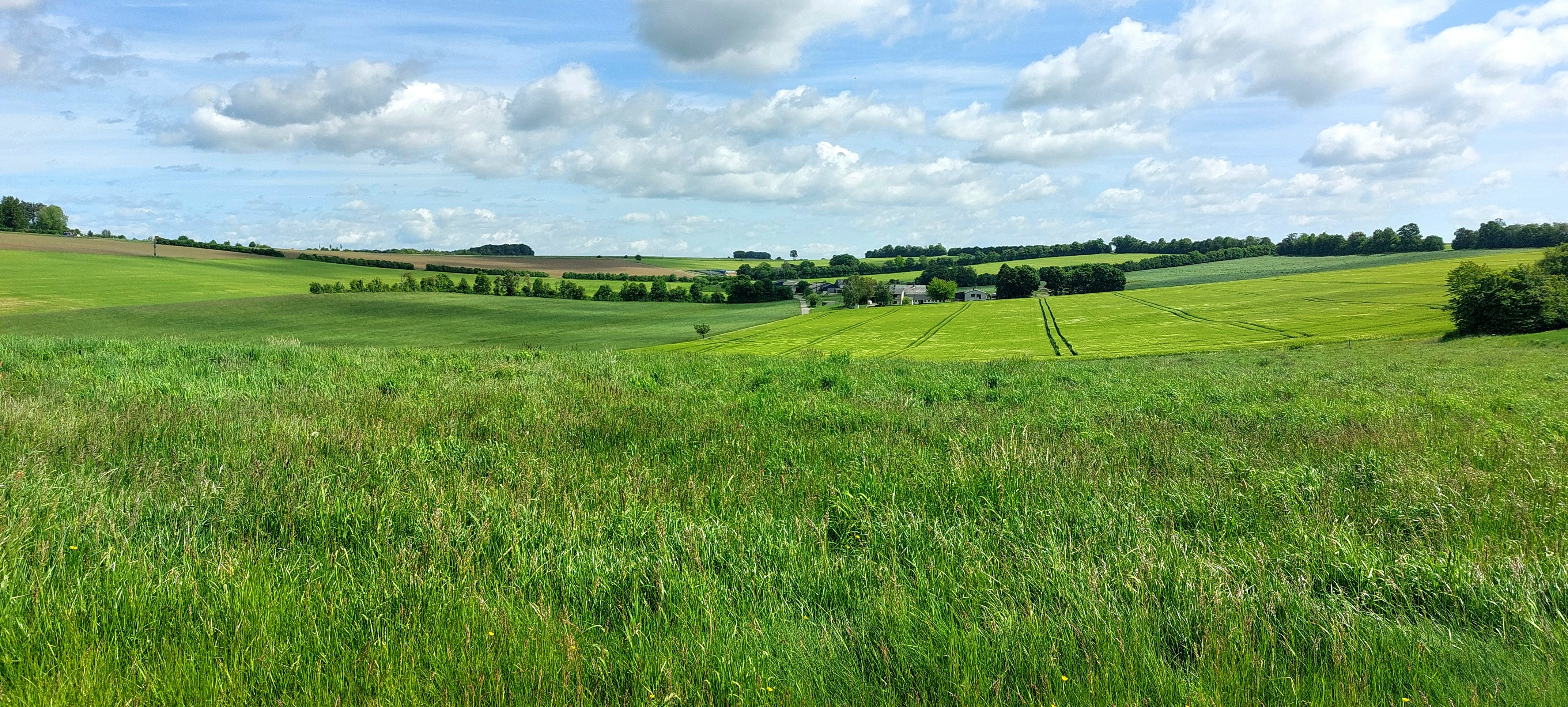 Grüne Wiesen und Felder in der ausgedehnten Talmulde am Römerberg. Vulkaneifel. Darüber blauer Himmel mit aufgelockert Wolken.